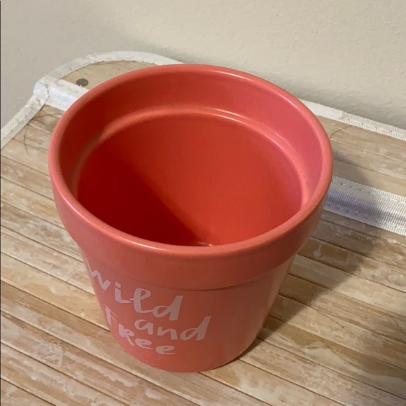 Wild & Free Plant Pot - Picture 3 of 3